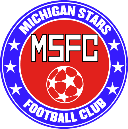 MichiganStars