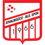 AyvalikgucuBelediyespor